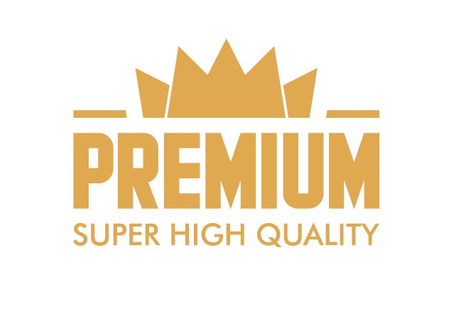 SP2105009 Piła tarczowa PI-521VS Premium 320x4,4/3,2x30 z=60 GA y=15° Piła formatyzująca / cięcie w pakiecie